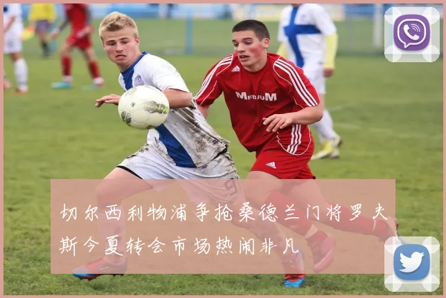 切尔西利物浦争抢桑德兰门将罗夫斯今夏转会市场热闹非凡