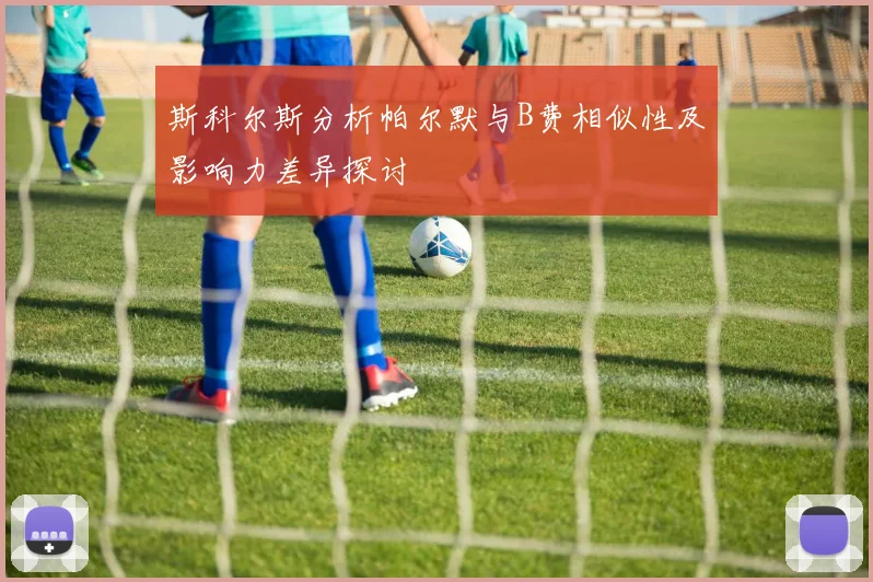 斯科尔斯分析帕尔默与B费相似性及影响力差异探讨