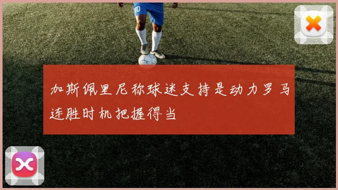 加斯佩里尼称球迷支持是动力罗马连胜时机把握得当